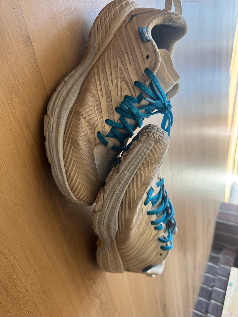 Speedgoat 4